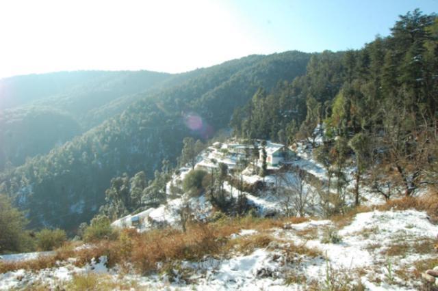 Natureraga Fernhill Resort Chail Exterior photo
